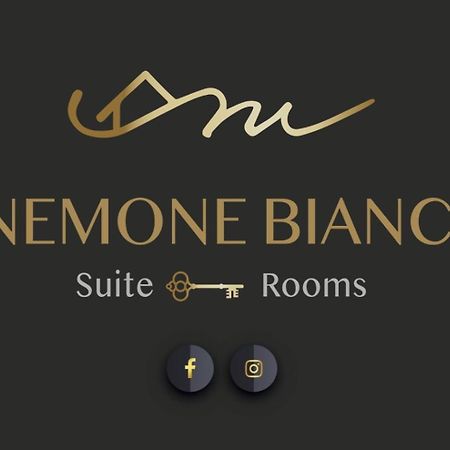 Apartamento Finestra Sull'Adamello Passo del Tonale Exterior foto