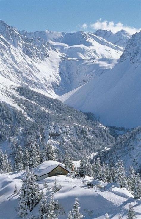 Apartamento Finestra Sull'Adamello Passo del Tonale Exterior foto
